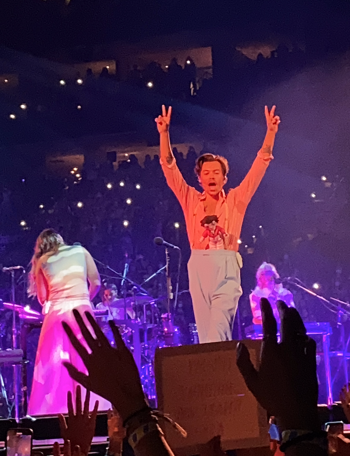 I took this picture myself at Harry Styles Love on Tour